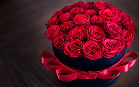 جمل عن الورد بالإنجليزي