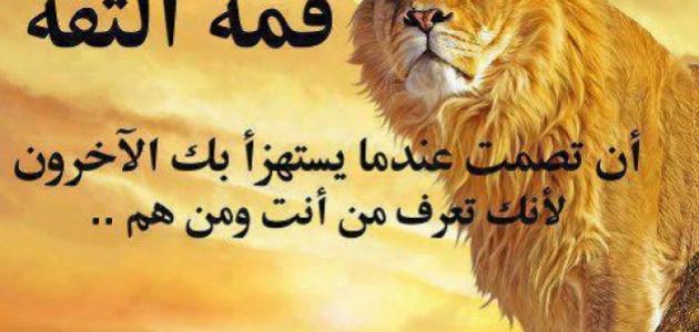 كلمات عن عدم الثقة - موضوع