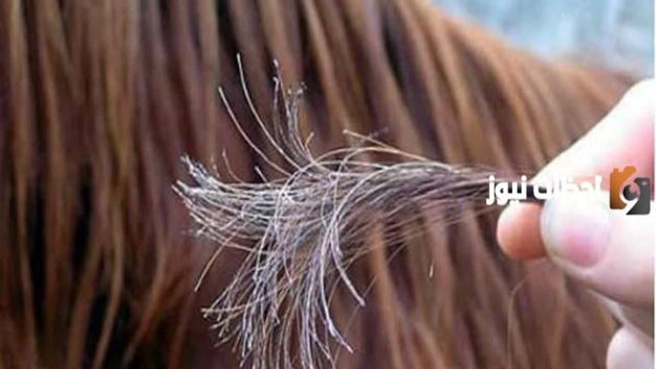 إليك أفضل علاج لتقصف الشعر وتطويله    