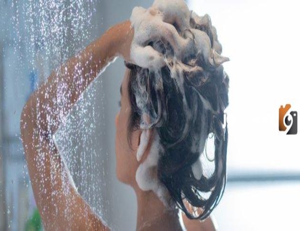 تجربتي مع شامبو الو ايفا بالصبار