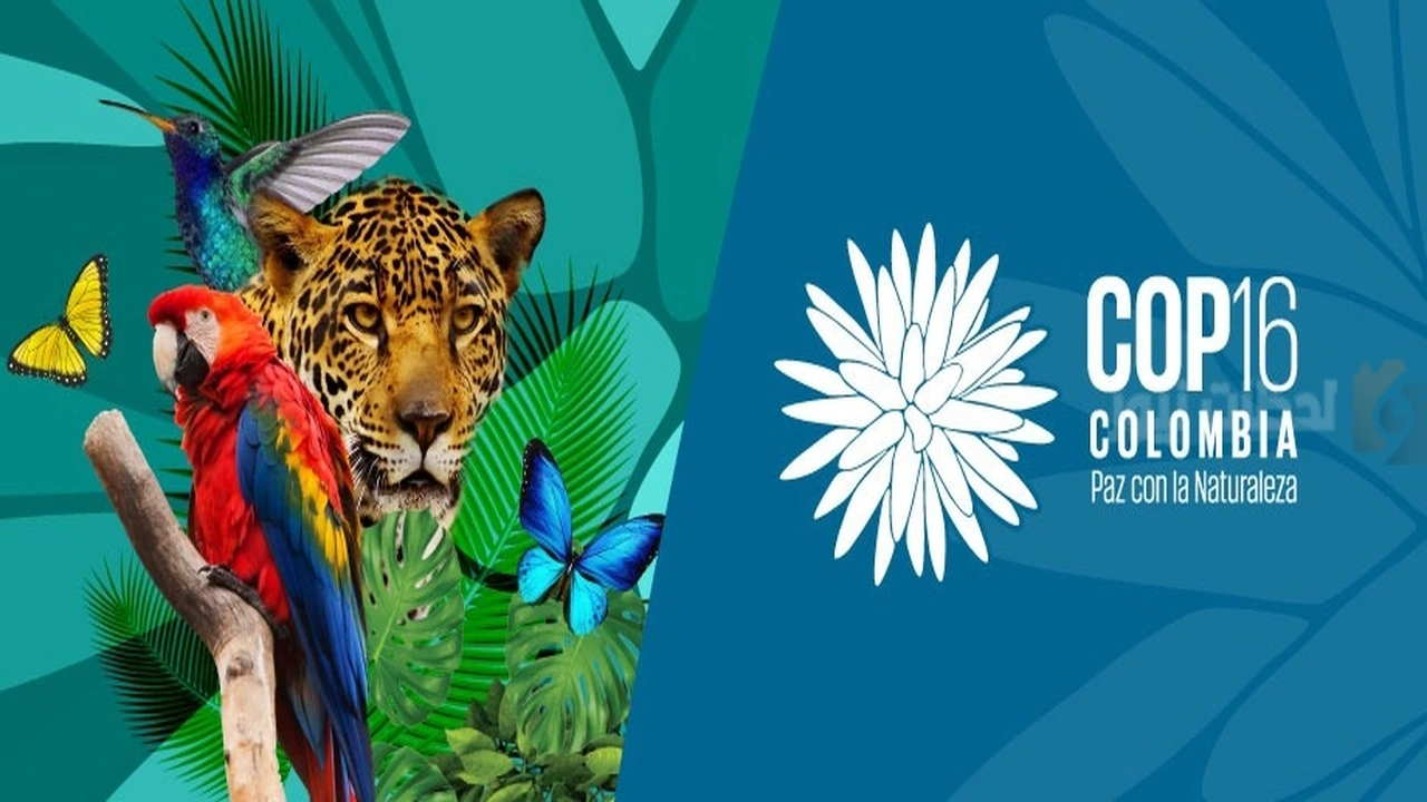 خاص بمسافري مطار الملك خالد!! الجوازات تطلق ختمًا لمؤتمر COP16    