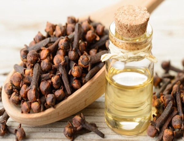 خلطات مذهلة للعناية بالشعر بإستخدام زيت القرنفل
