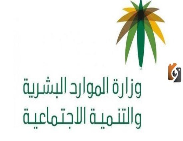 رسوم نقل الكفالة في النظام الجديد تعرف عليها .. ومن يتحملها