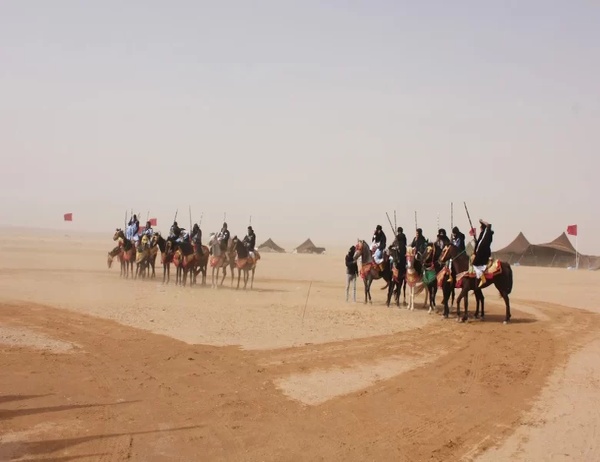 قبيلة طي وش ترجع