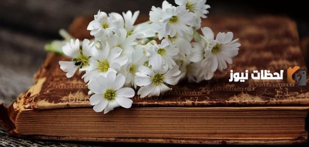 65 حكم شعرية للشافعي