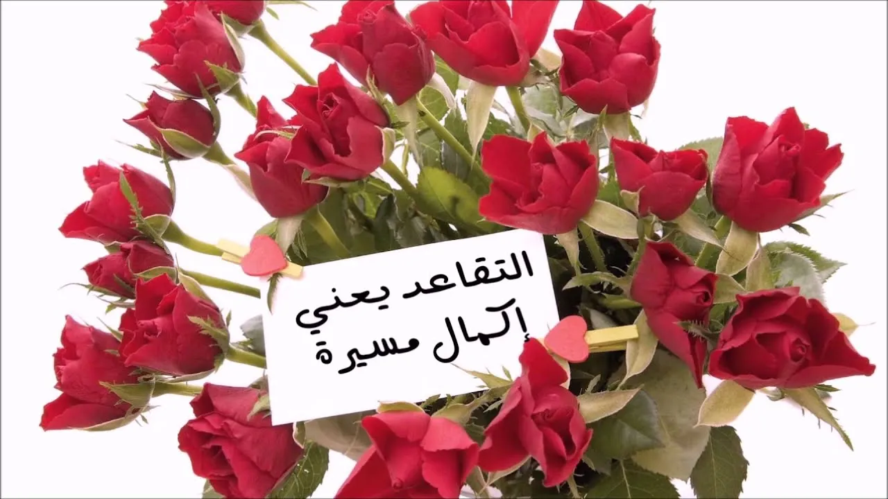 تهنئة للمتقاعدين 