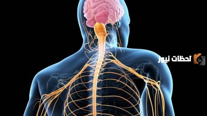 أجب عن السؤال