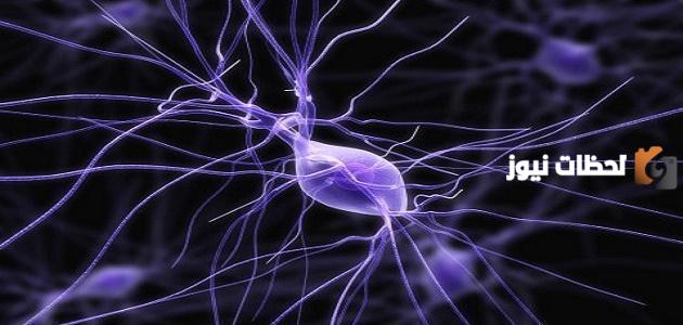 أجب عن السؤال