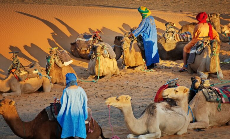 أصل عائلة الكندري وش يرجعون