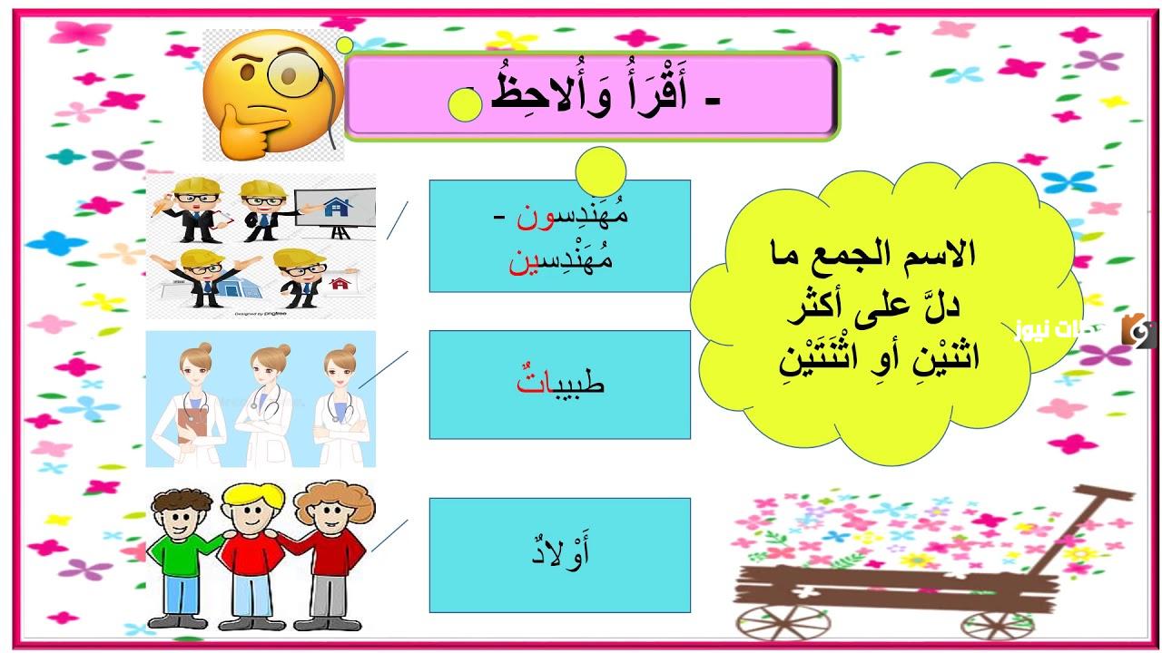 إليك شرح المفرد والمثنى والجمع للأطفال