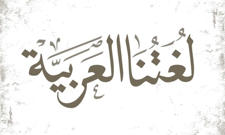 إليك شرح المفرد والمثنى والجمع للأطفال