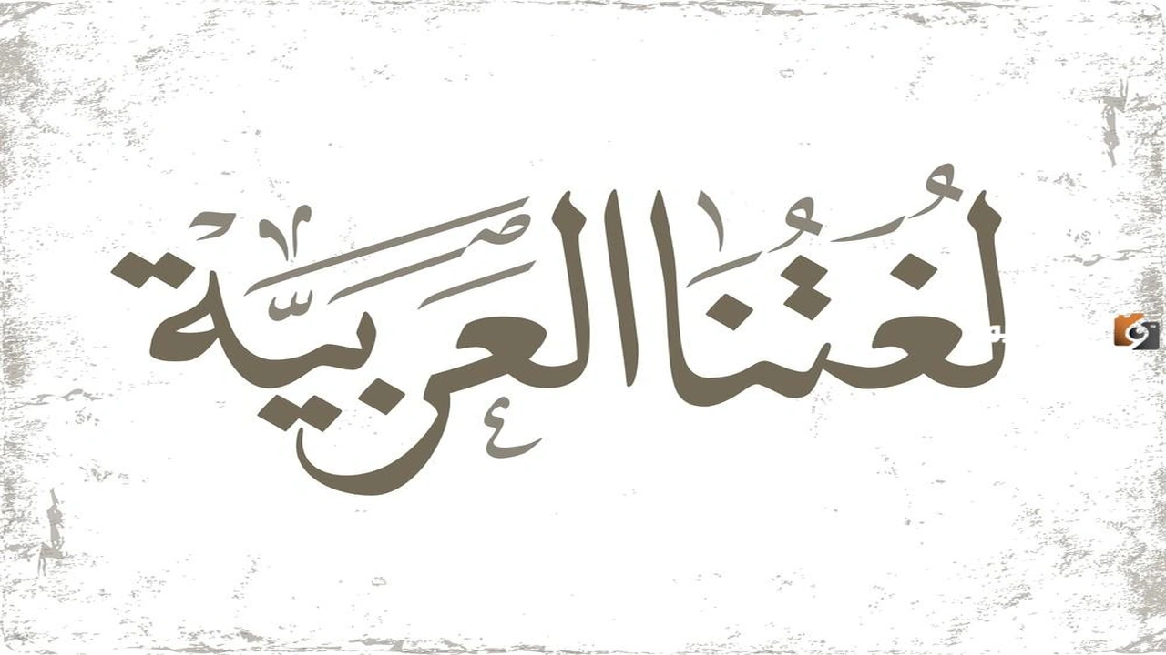 إليك شرح المفرد والمثنى والجمع للأطفال    