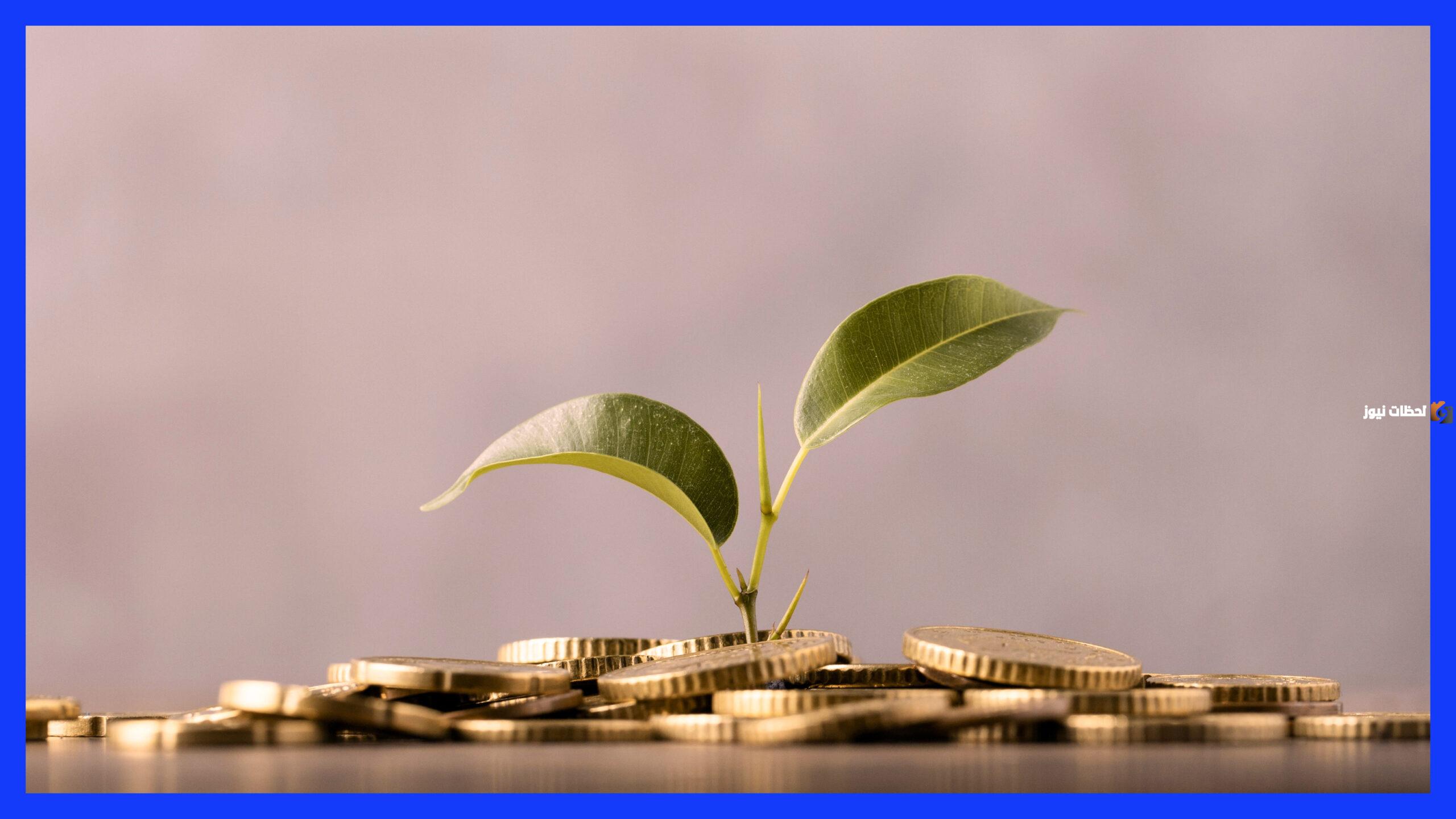 إليك كيفية الادخار الصحيح للمحافظة على المال