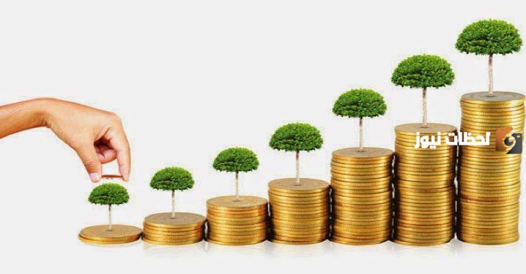 إليك كيفية الادخار الصحيح للمحافظة على المال