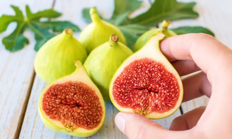 اسماء اكلة بحرف التاء ت وجميع المعلومات عن اكلات بحرف ت