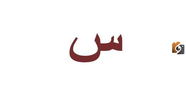 اسماء نبات بحرف السين س وجميع المعلومات عن نباتات بحرف س