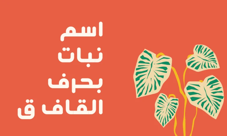 اسماء نبات بحرف القاف ق وجميع المعلومات عن نباتات بحرف ق