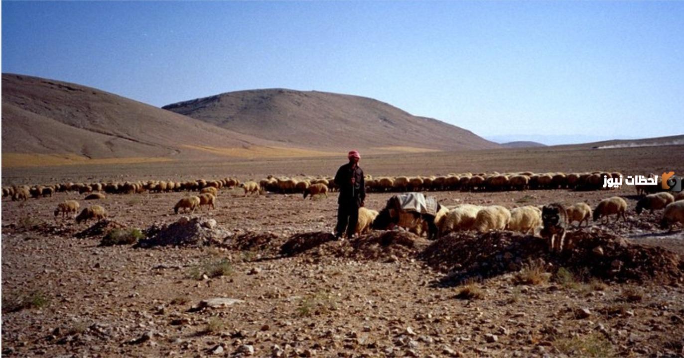 الجعفري وش يرجع