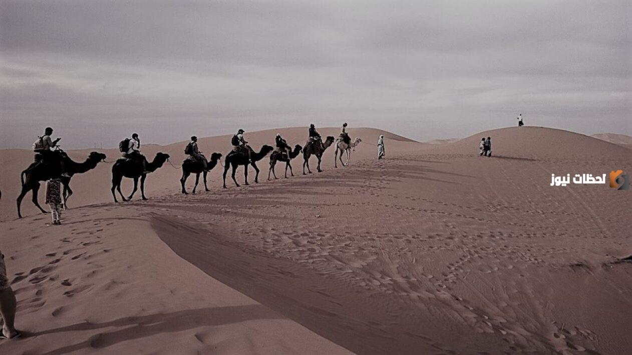 الزايدي وش يرجع أصل الزايدي من وين