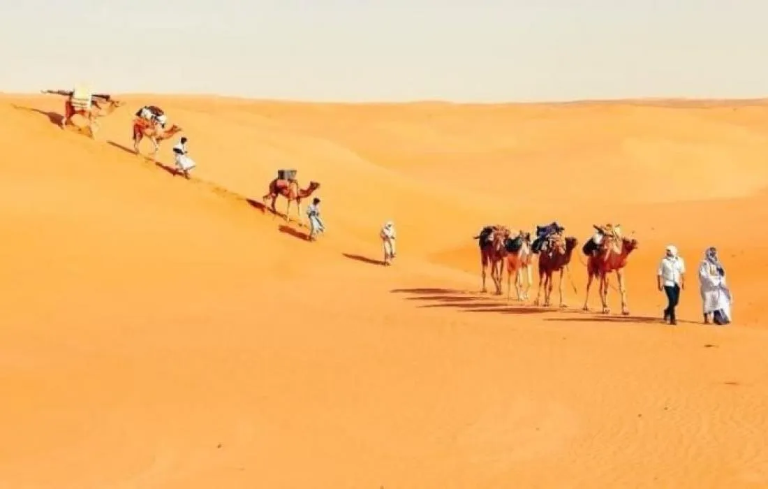 السدحان وش يرجعون السدحان من وين؟