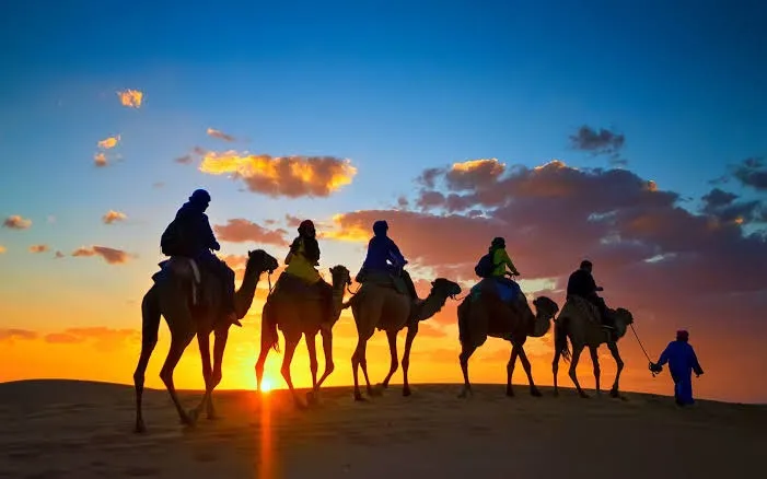 العساف وش يرجعون وأين يستقرون الآن