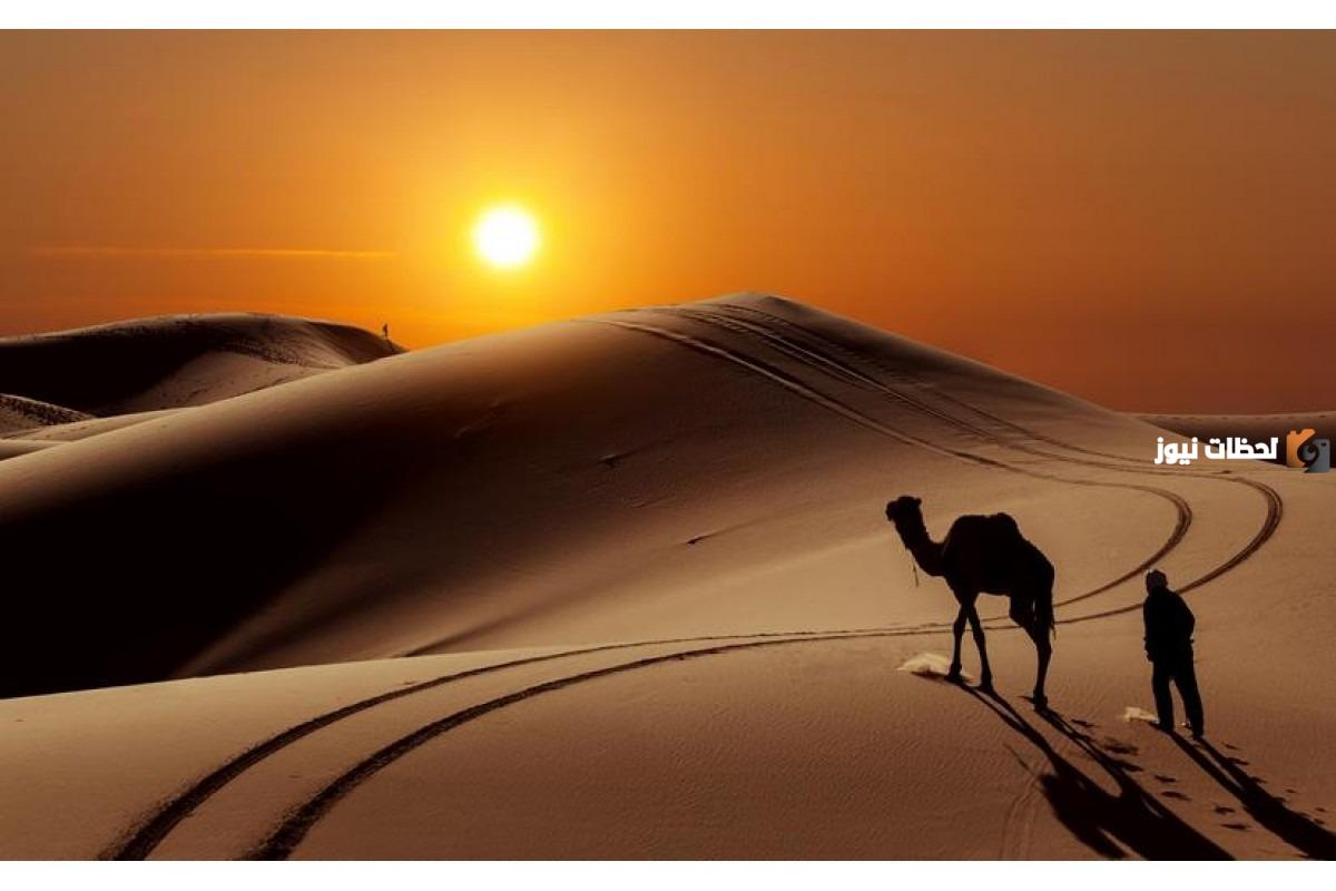 الوسيدي وش يرجع أصل الوسيدي من وين