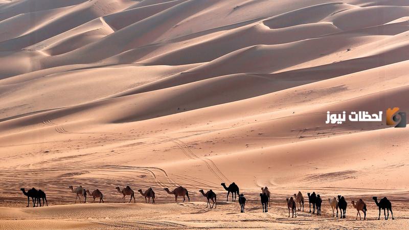 تعريف الرحالة