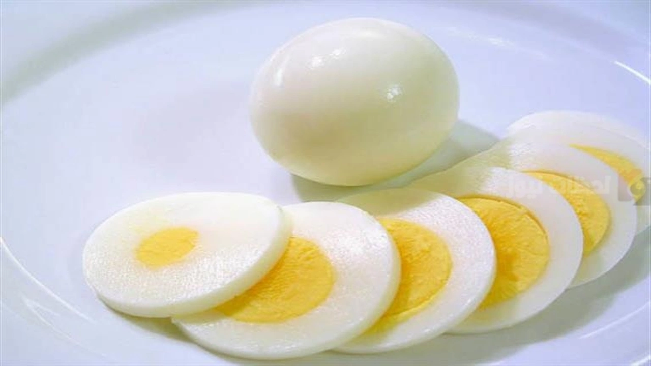 دراسة حديثة تكشف: تناول البيض يعزز الصحة المعرفية ويحمي الدماغ من التدهور المرتبط بالعمر    