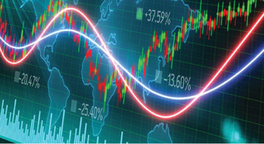 سهم الوطنية للتعليم 1446 كم سعره وكم عدد اسهم الوطنيه للتعليم؟