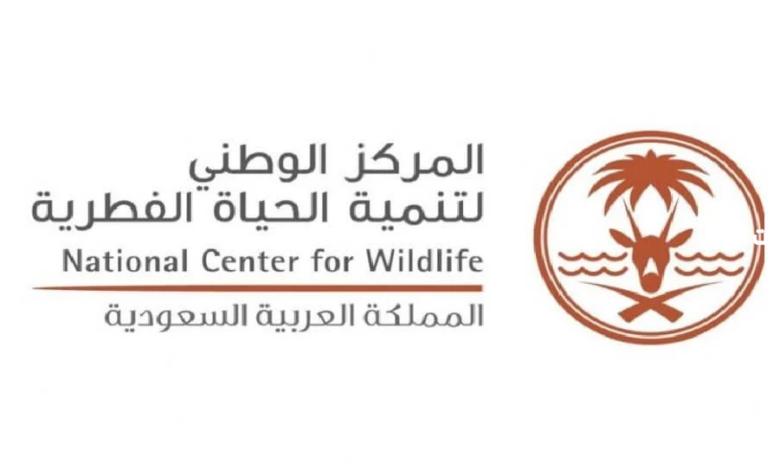 طريقة إصدار تصريح صيد .. الخطوات عبر منصة فطري كاملة من هُنــــــــا