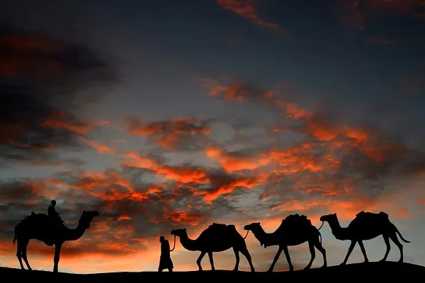 عائلة الصمعاني قبيلتها وفخذها