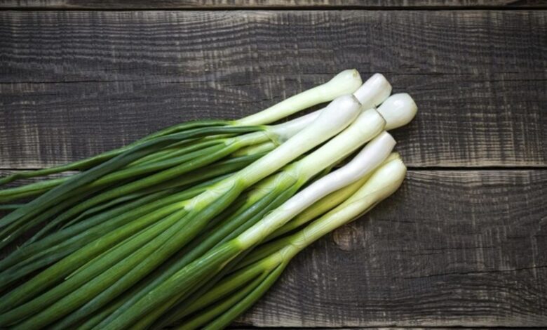 فوائد البصل الأخضر