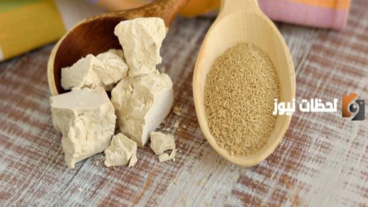 فوائد الخميرة للبشرة الدهنية وحب الشباب    