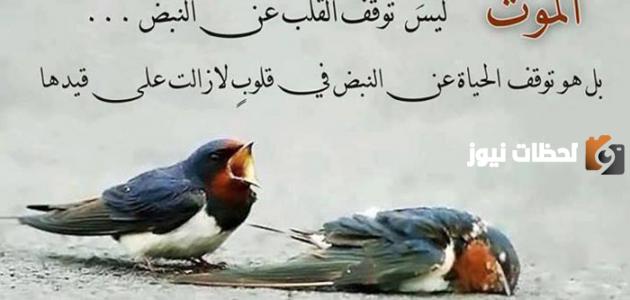 كلام عن الموت