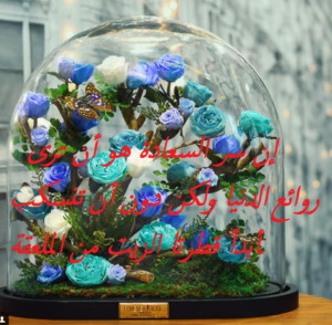 كلام في الصميم كلمات في الصميم لمن يفهمها؟