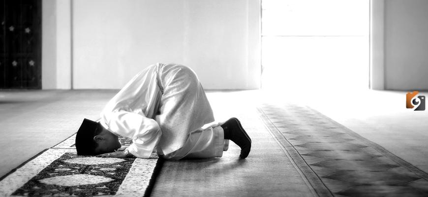 كم عدد النوافل بعد كل صلاة وما هو فضل صلاة النوافل