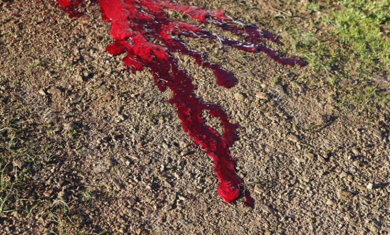 لماذا الارض لا تمتص الدماء “هل هناك سبب ديني وعلمي؟”