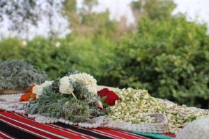 محلات بيع الفل في الدمام محل حنتول الدمام