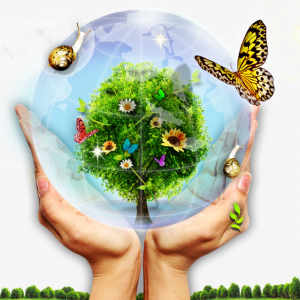 مطويات عن البيئة والمحافظة على البيئة