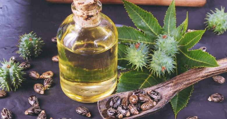 هل يمكن استخدام زيت الخروع للشعر يوميًا؟ طريقة استخدام زيت الخروع للشعر